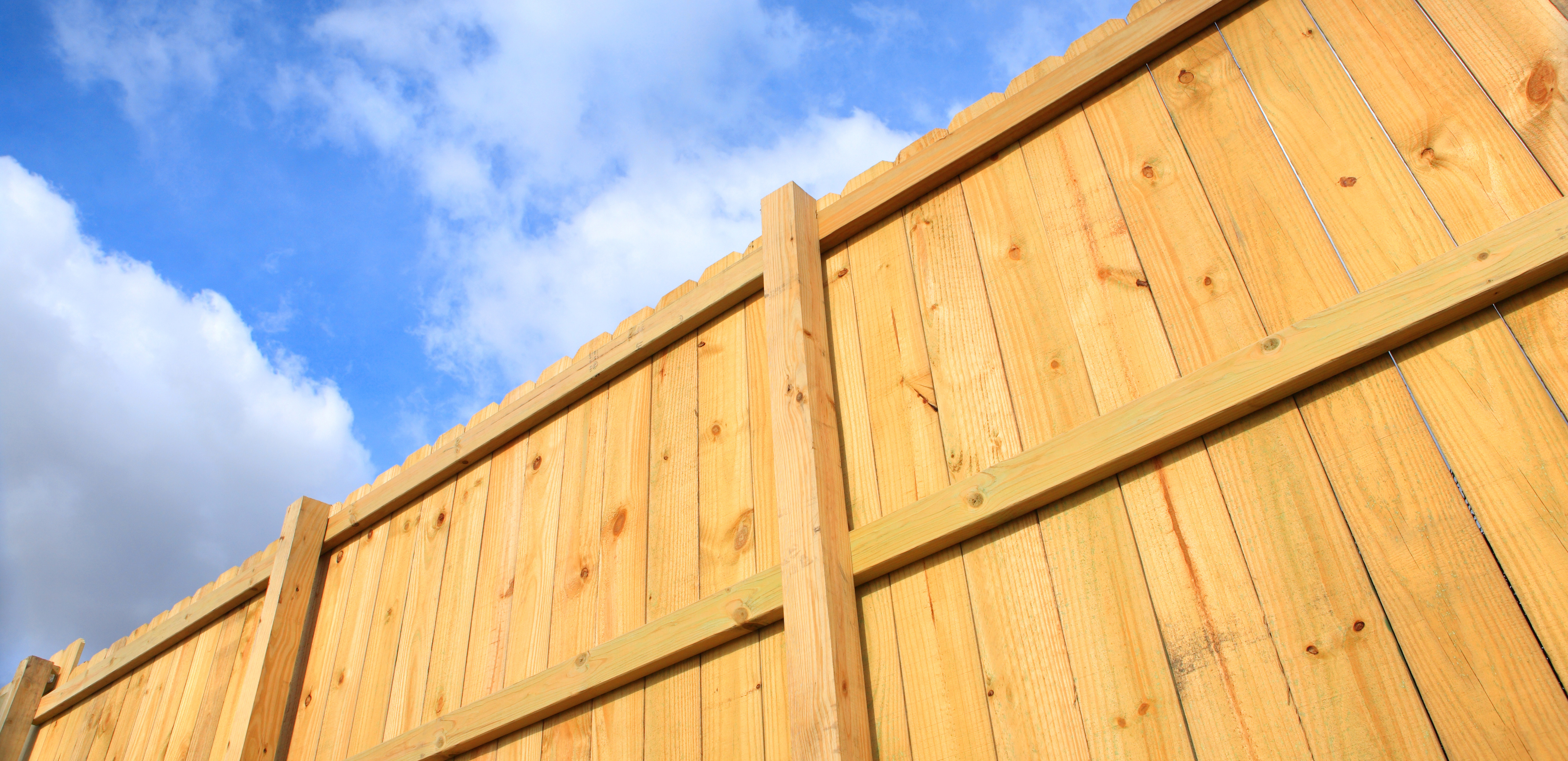 Garden Boundary Fencing